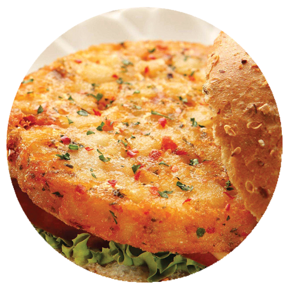 HM बर्गर पैटी – BURGER PATTY (12 KG CTN)